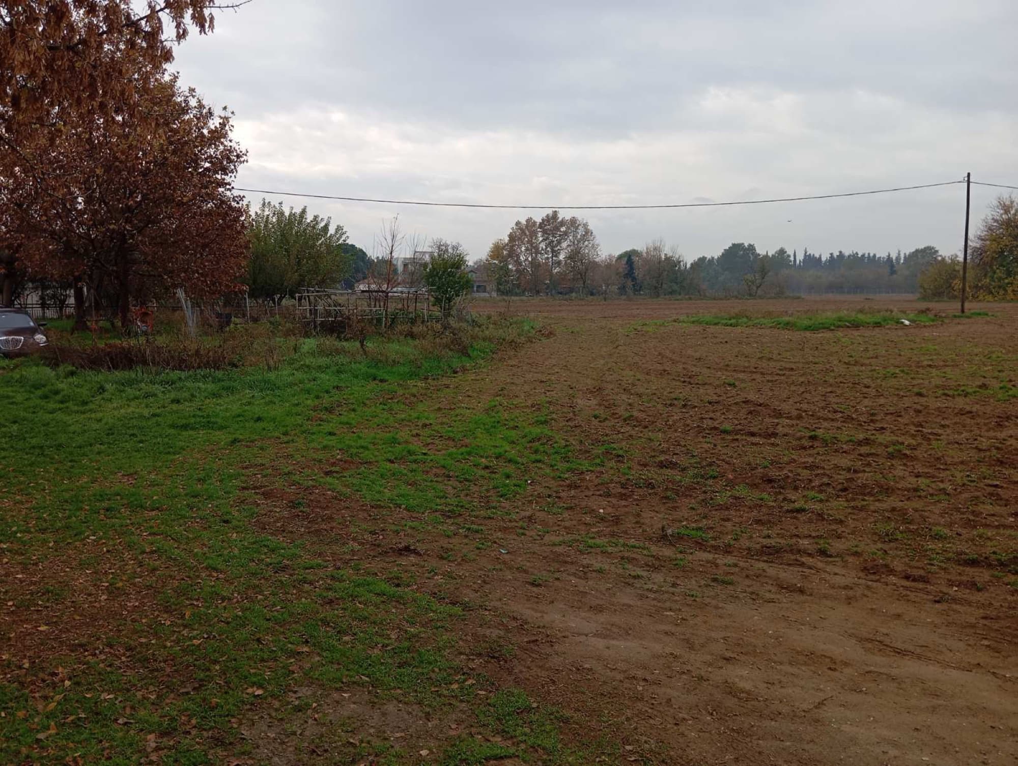 9,500 m² Residential Plot for Sale in Sindos, Thessaloniki - 4