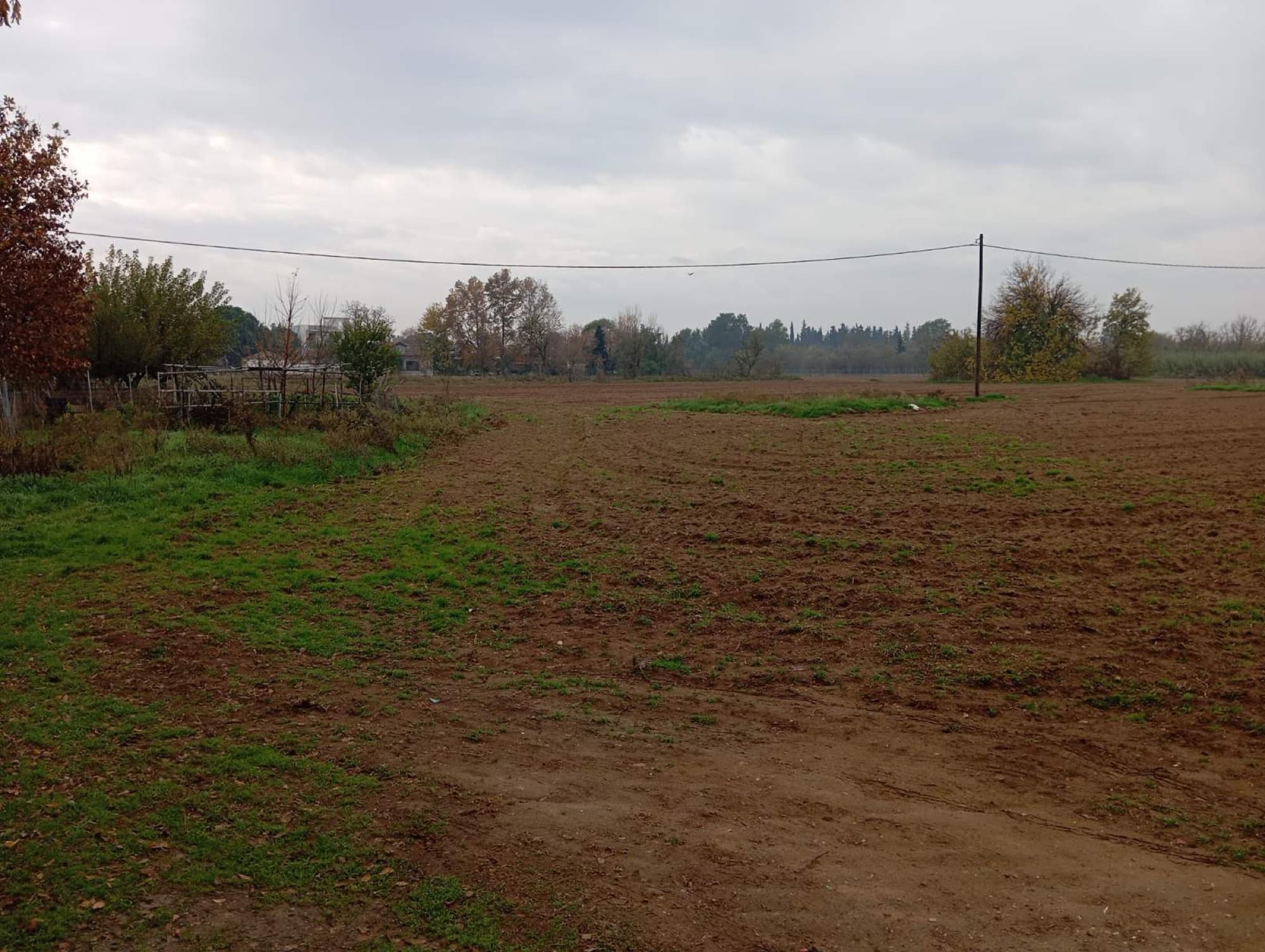 9,500 m² Residential Plot for Sale in Sindos, Thessaloniki - 3