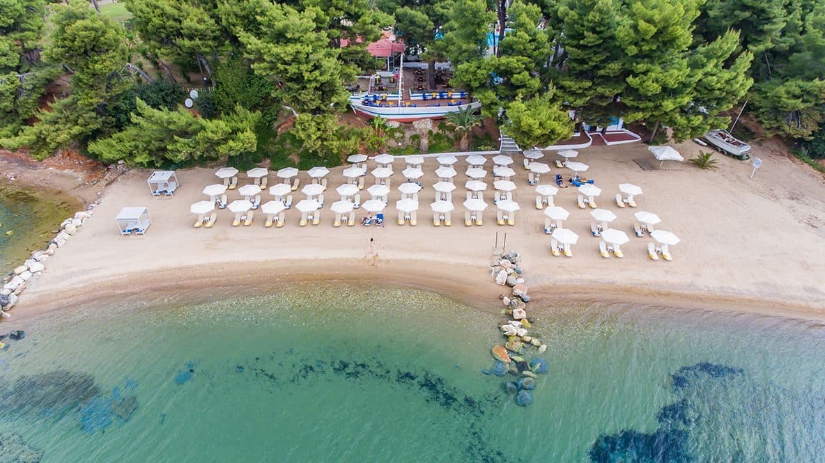 Porfi Beach Hotel Halkidiki - 3
