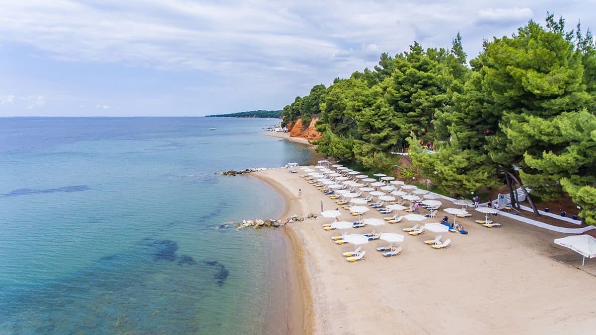 Porfi Beach Hotel Halkidiki - 4