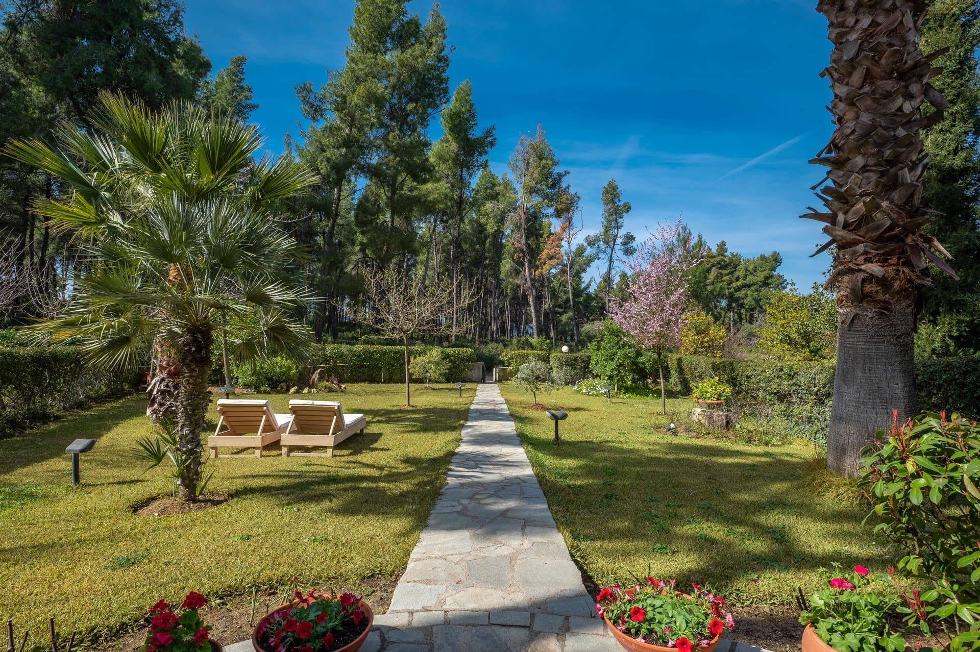 Pine Villa | Sani - 2