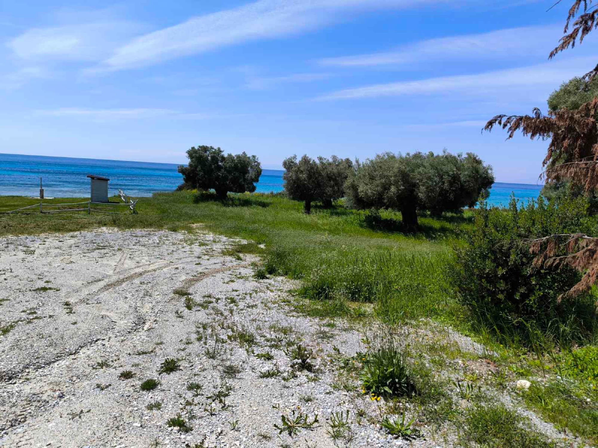 Two Adjacent Plots, 9,000 m², for Sale in Kassandra, Halkidiki - 3
