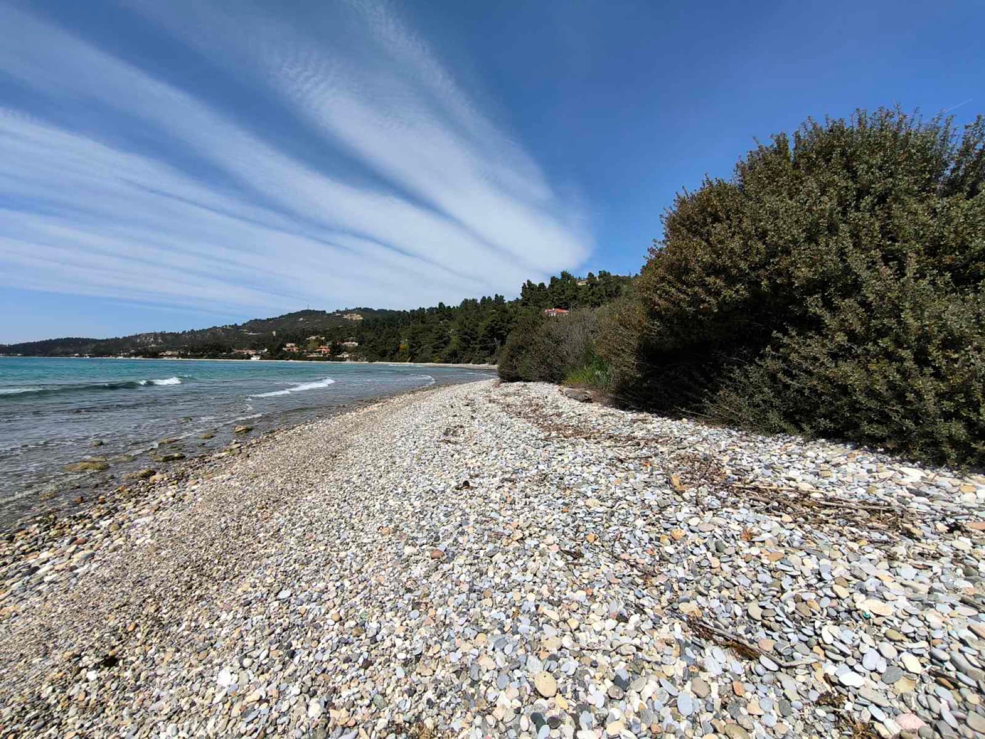 Two Adjacent Plots, 9,000 m², for Sale in Kassandra, Halkidiki - 4