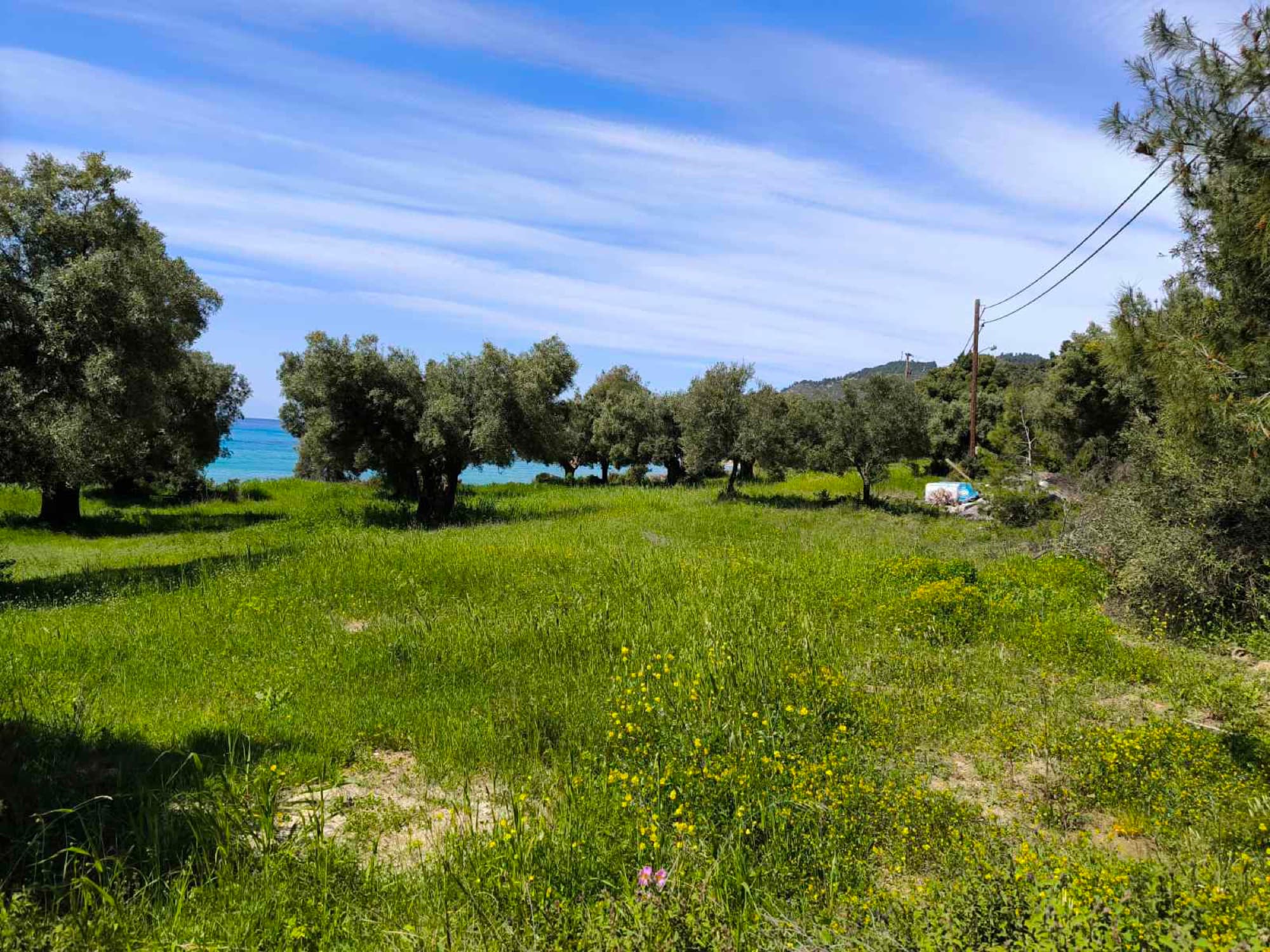 Two Adjacent Plots, 9,000 m², for Sale in Kassandra, Halkidiki