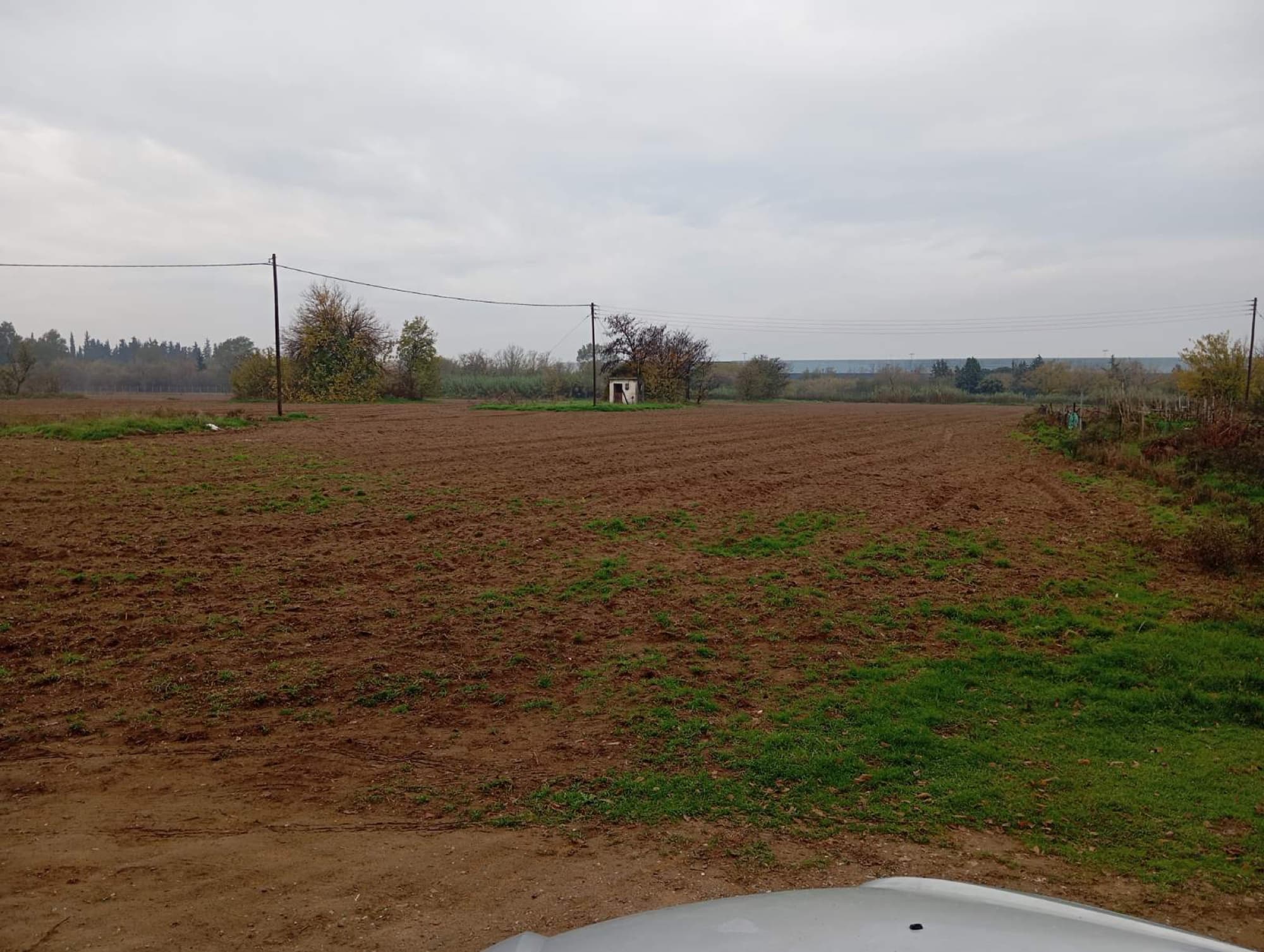 9,500 m² Residential Plot for Sale in Sindos, Thessaloniki - 2