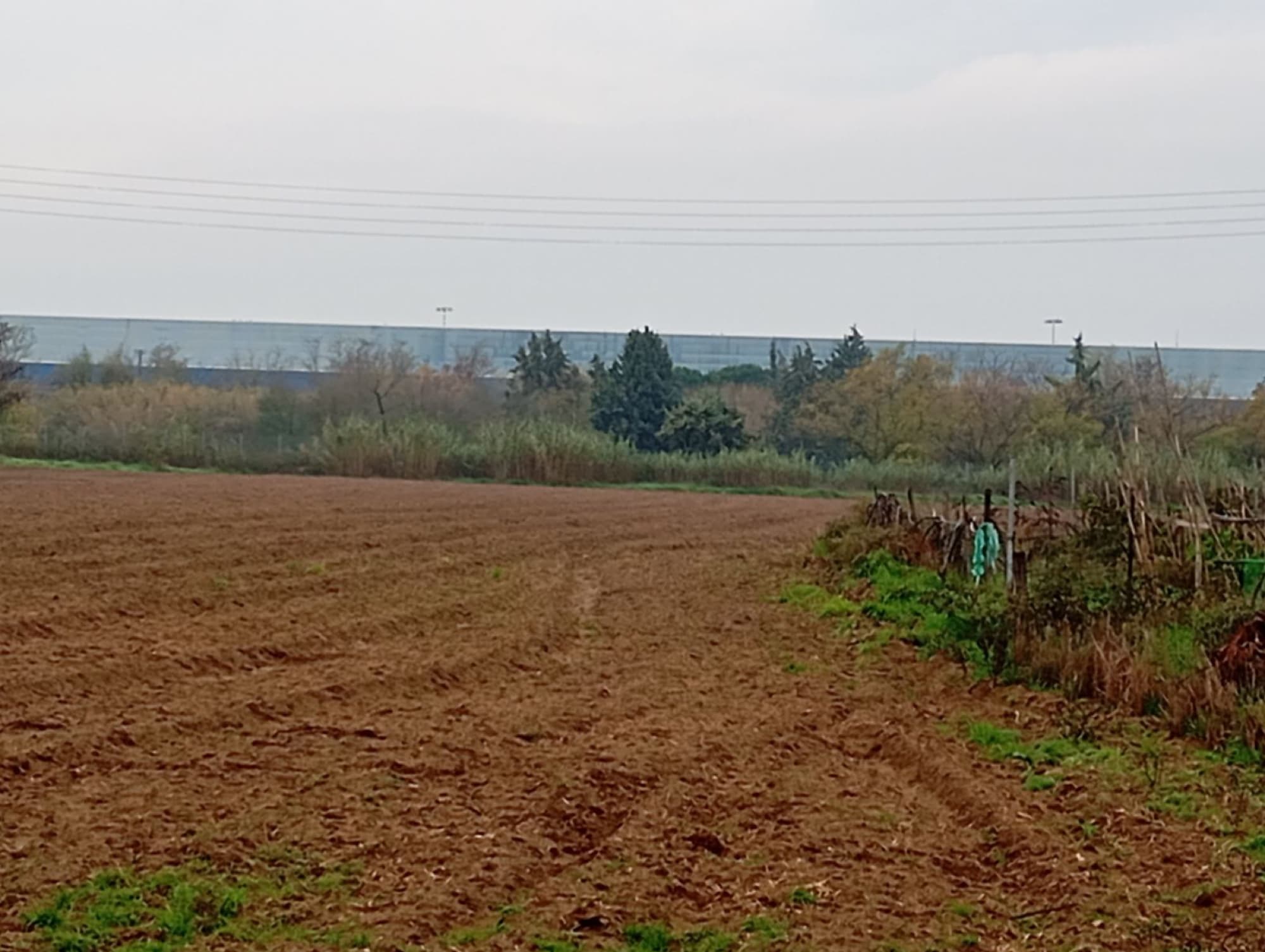 9,500 m² Residential Plot for Sale in Sindos, Thessaloniki