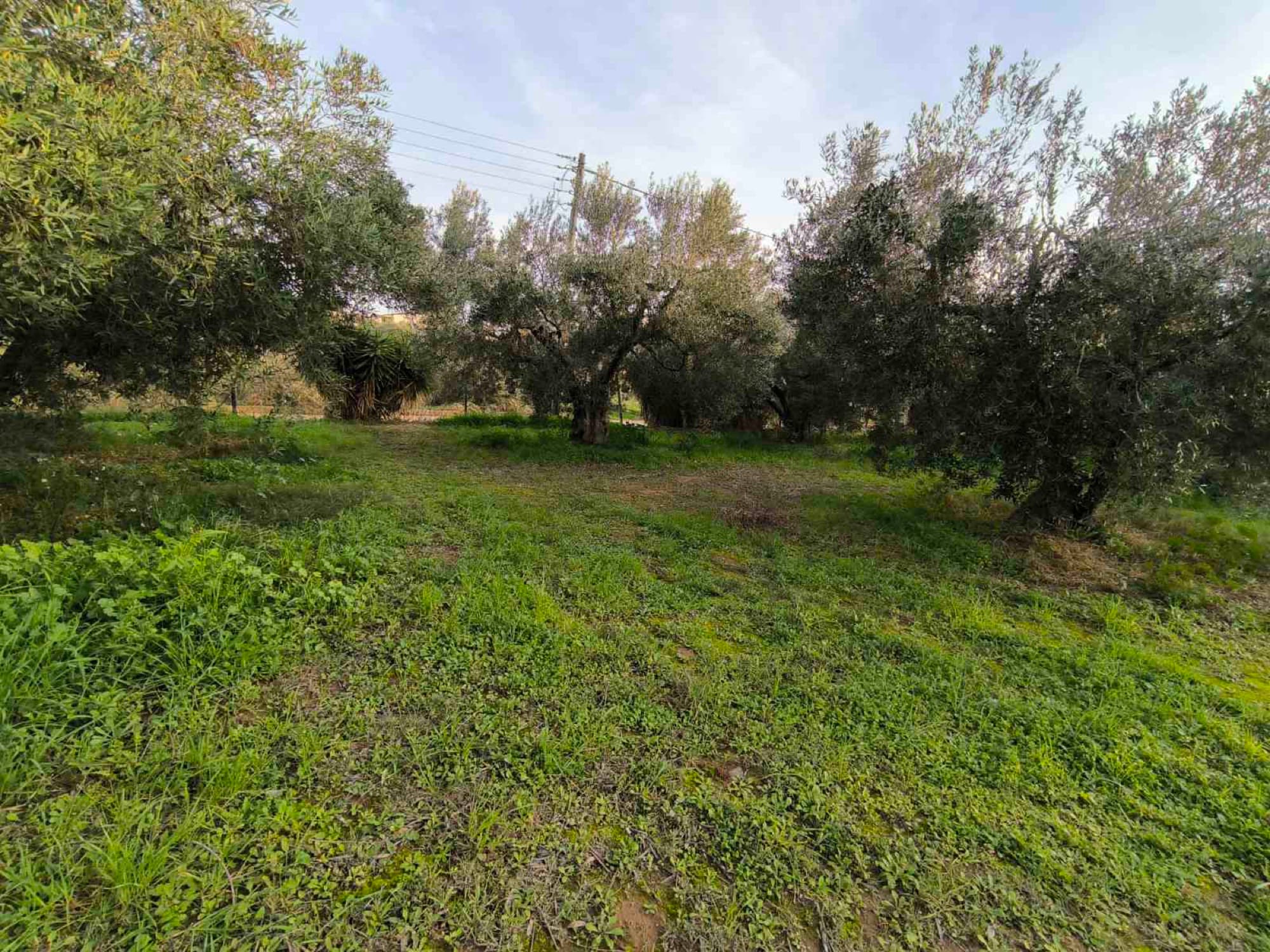 2,220 m² Buildable Corner Plot for Sale in Kalyves, Halkidiki - 4