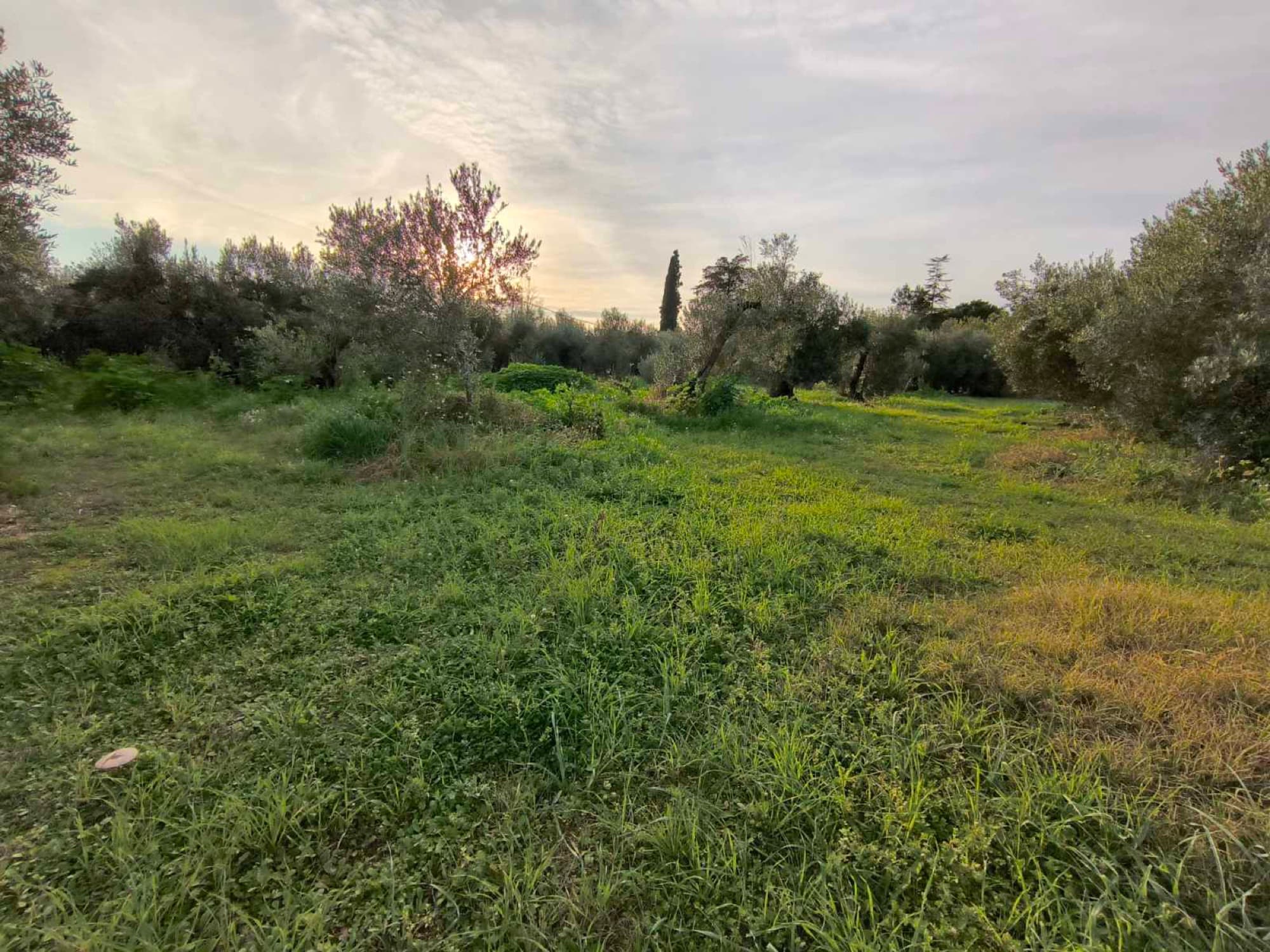 2,220 m² Buildable Corner Plot for Sale in Kalyves, Halkidiki