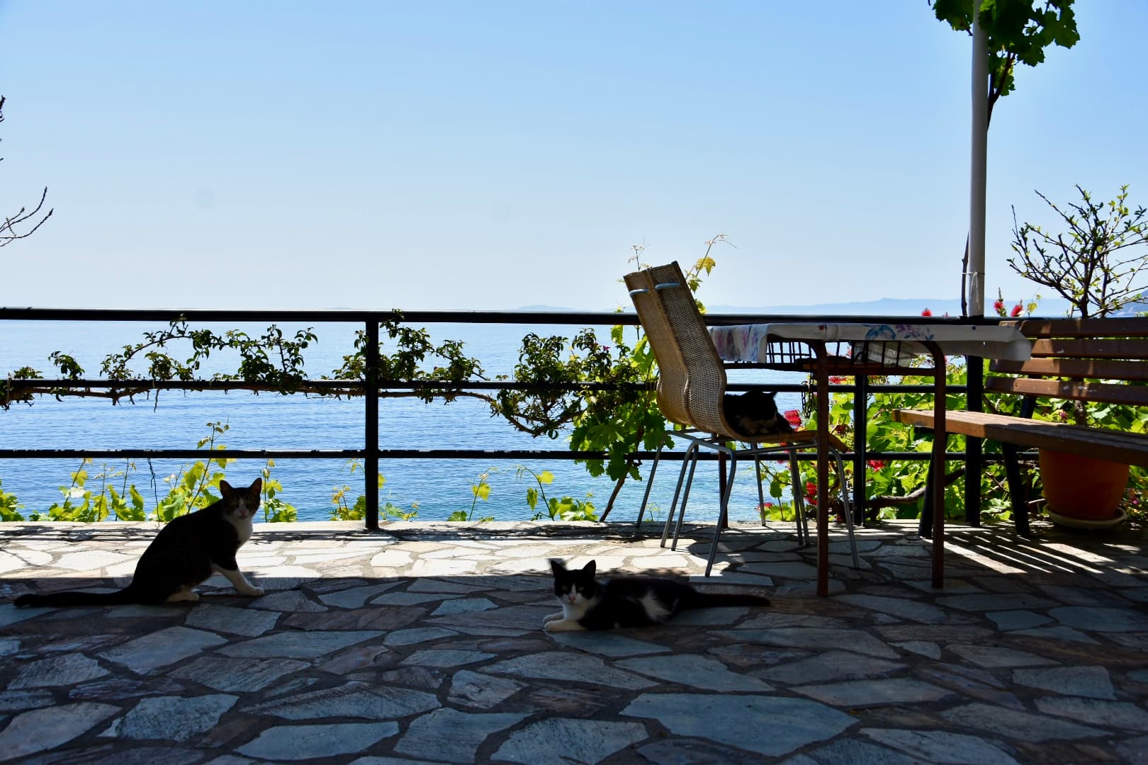 Seaview Ramona Apartment - 2