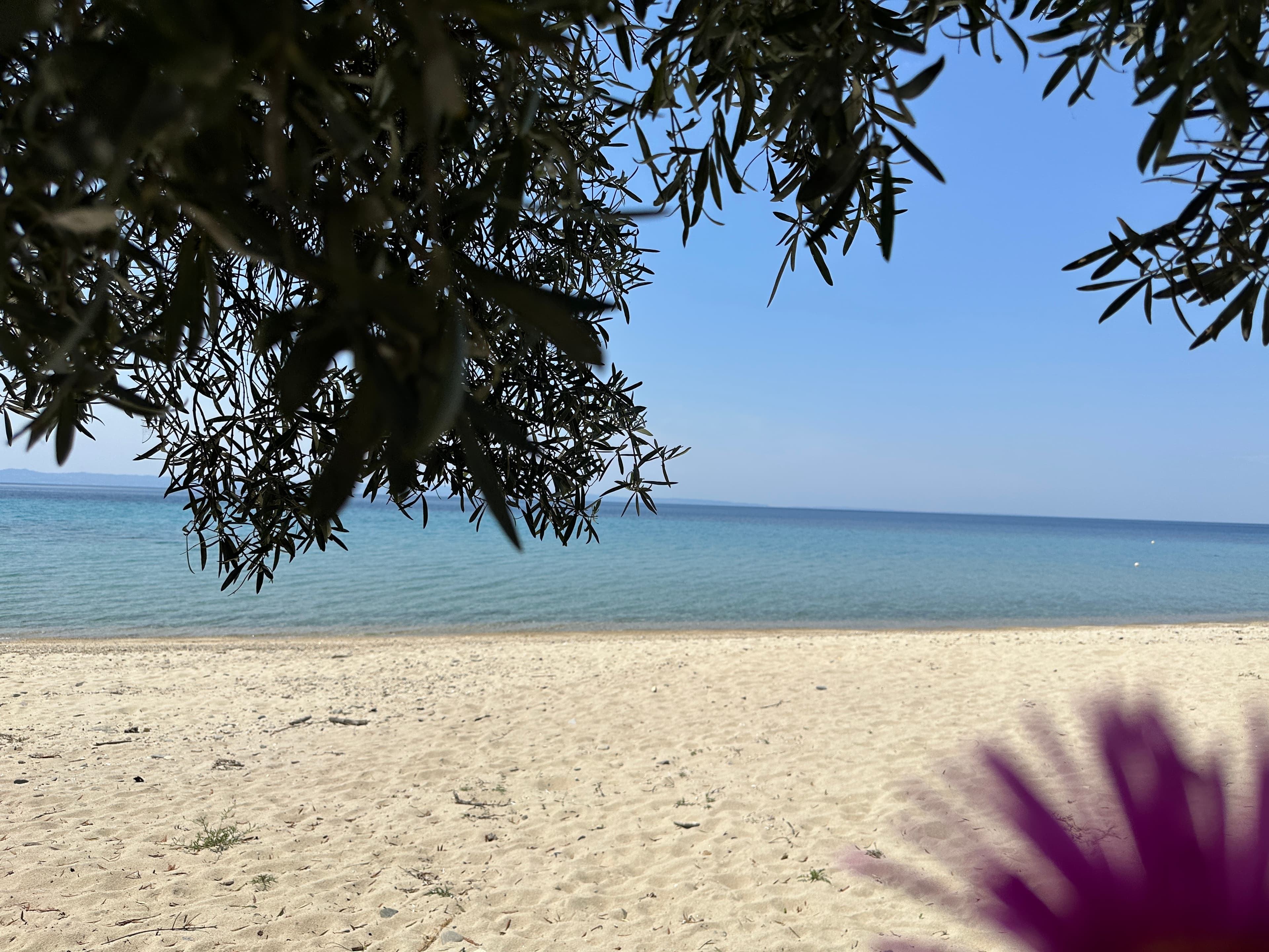 Tripotamos Beachfront Villas A