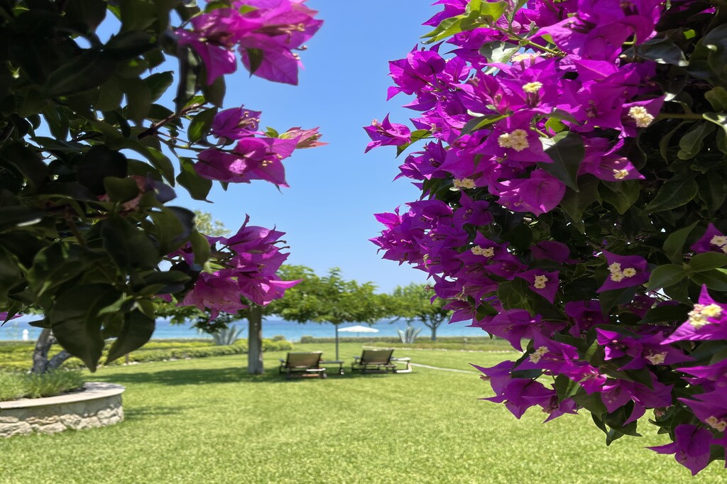 Beach Front Villa Edemma, Hanioti, Kassandra, Halkidiki, Greece, 08