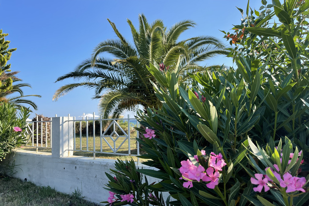 Tripotamos (1), Beachfront Villas Complex, Neos Marmaras, Sithonia, Chalkidiki, Greece, 22