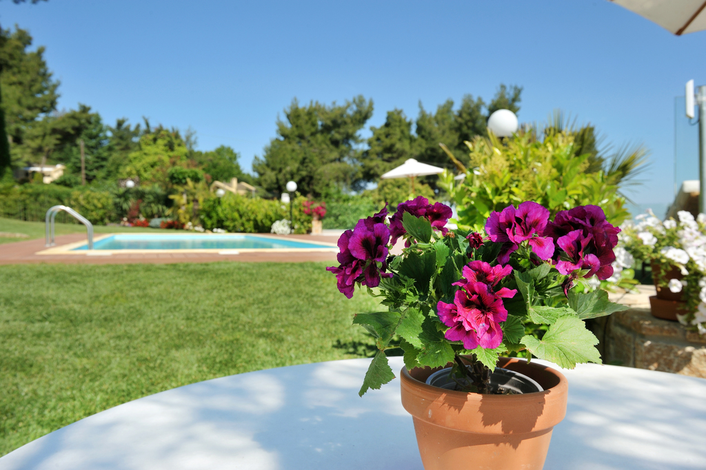 Villa Anna, Sani Stavronikita, Kassandra, Halkidiki, Greeces, 041