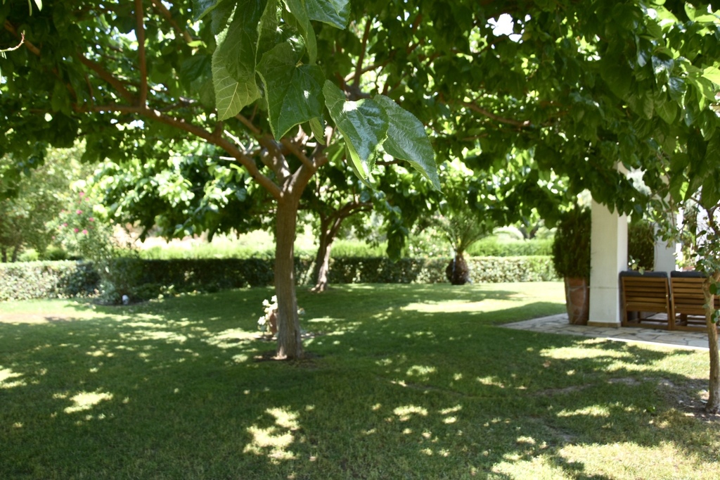 Villa Sandy, Villa4you, Agia Kiriaki, Simonitiko, Neos Marmaras, Sithonia, Halkidiki, Greece, 10