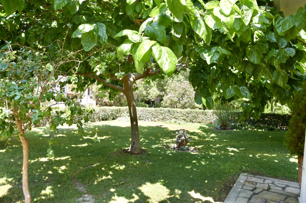 Villa Sandy, Villa4you, Agia Kiriaki, Simonitiko, Neos Marmaras, Sithonia, Halkidiki, Greece, 16