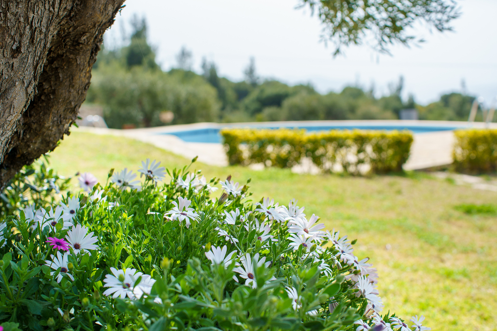 Villa Tania, Sithonia 21