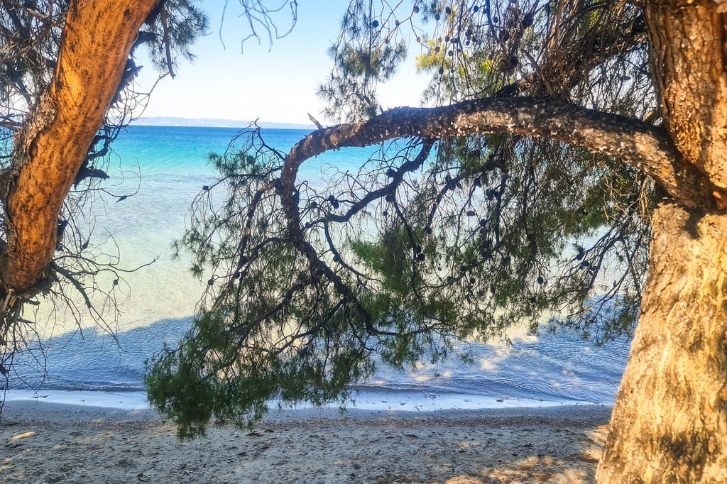Villa4you, La Casa Del Olivo, Elia, Sithonia, Halkidiki, Greece, 05
