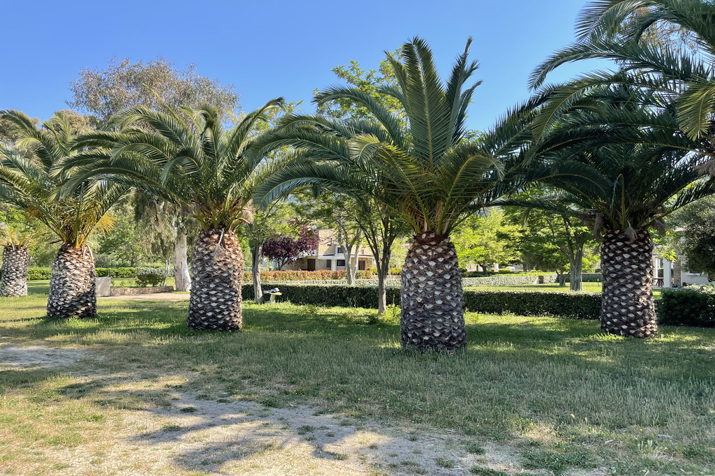 a, Villa Rania, Villa4you, Agia Kiriaki, Simonitiko, Neos Marmaras, Sithonia, Halkidiki, Greece, 03
