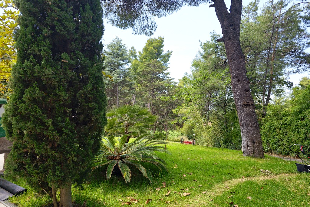 villa4you.gr, Villa Marlon, Sani-Stavronikita, Kassandra, Halkidiki, Greece, 057