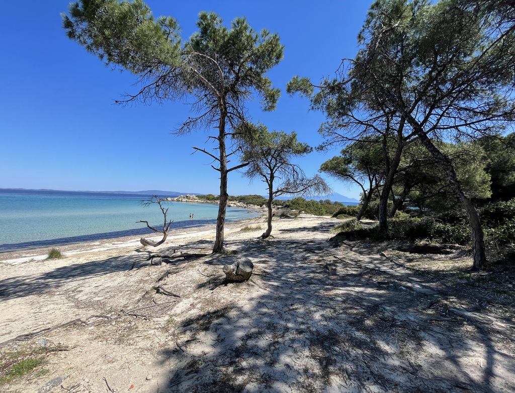 Villa Janette, Karidi Beach, Vourvourou, Halkidiki, Greece, 016