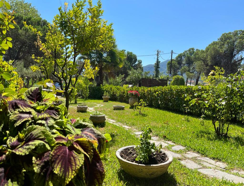 Villa Janette, Karidi Beach, Vourvourou, Halkidiki, Greece, 03