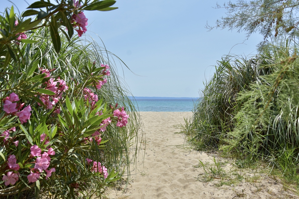 Villa Lila Unique A, Villa4you, Akti Kalogrias, Sithonia, Halkidiki, Greece, 08