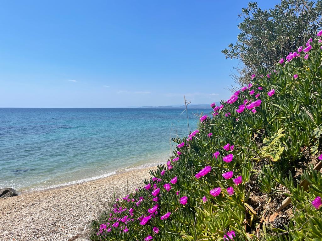 Villa4you.gr, Beachfront Apartment Aspa, Akti Elias, Sithonia, Halkidiki, Greece, 02
