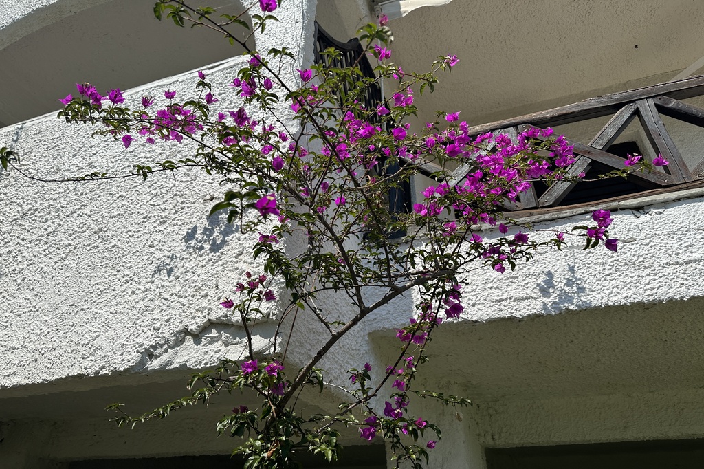 Villa4you.gr, Beachfront Apartment Aspa, Akti Elias, Sithonia, Halkidiki, Greece, 27