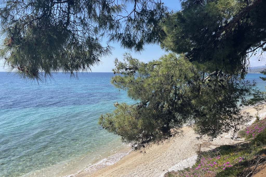 Villa4you.gr, Sea View Apartment Anastasia, Akti Elias, Sithonia, Halkidiki, Greece, 05