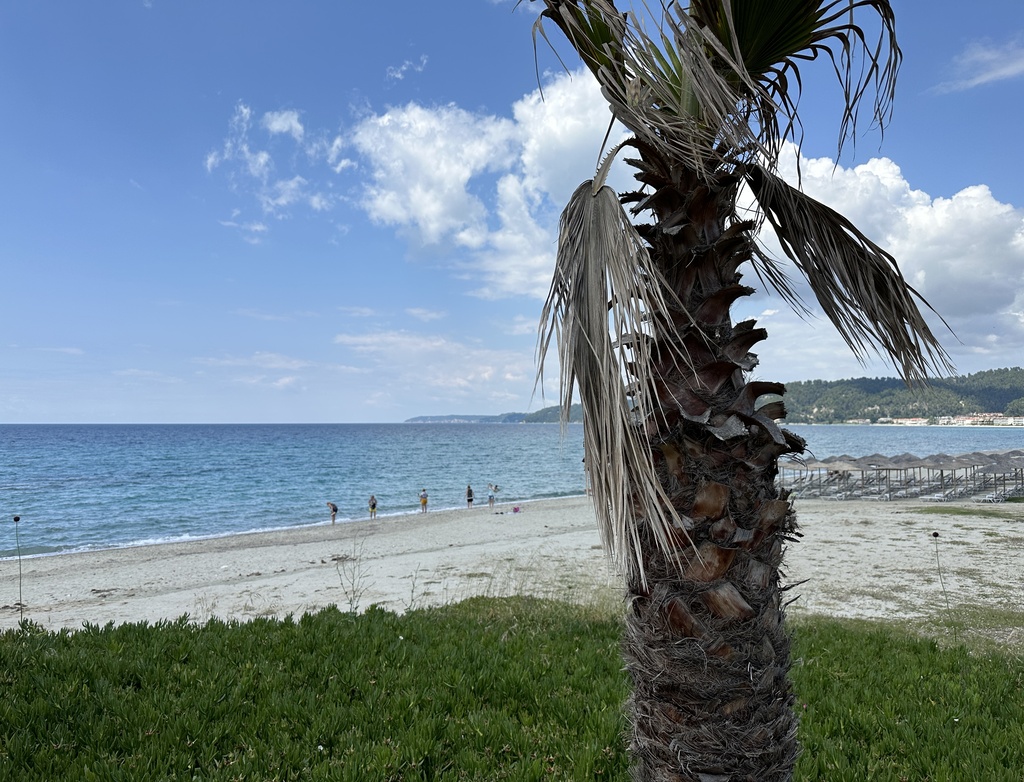Villa4you.gr, Villa Marina, Fourka, Kassandra, Halkidiki, Greece, 18