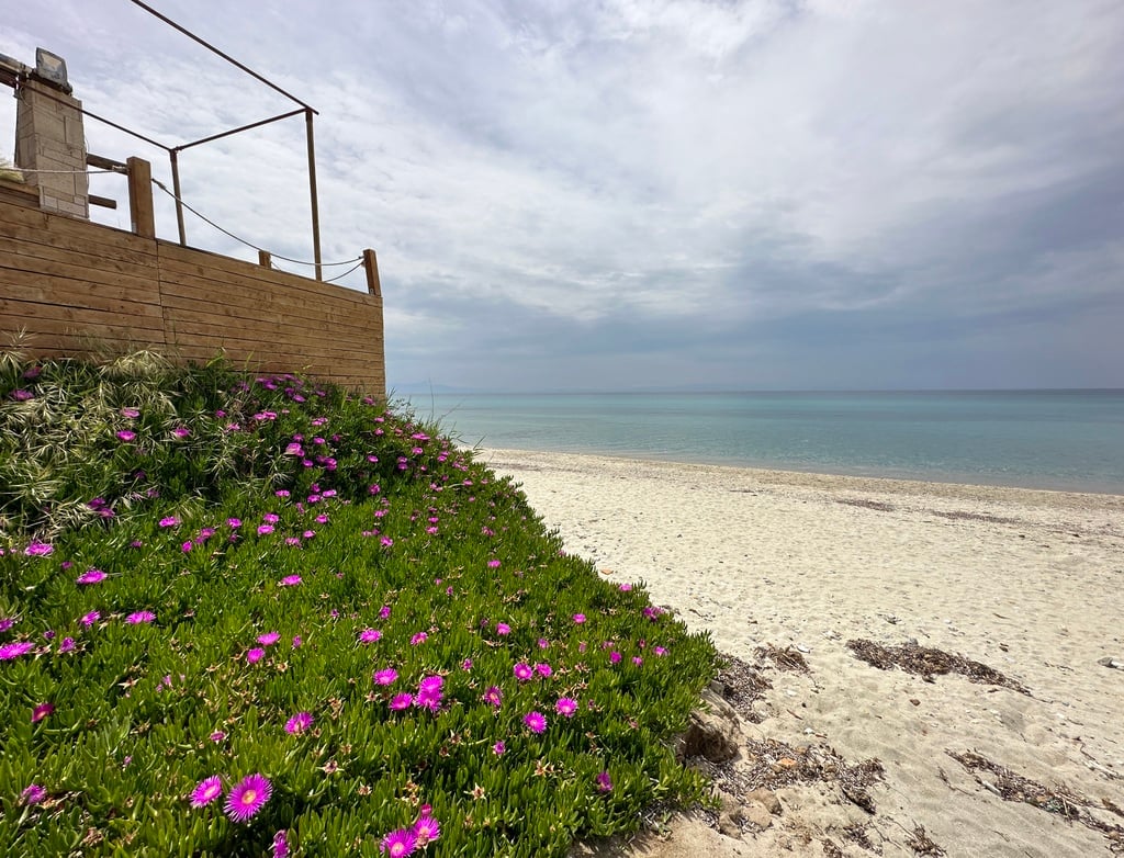 Villa4you.gr, Villa Marina, Fourka, Kassandra, Halkidiki, Greece, 6