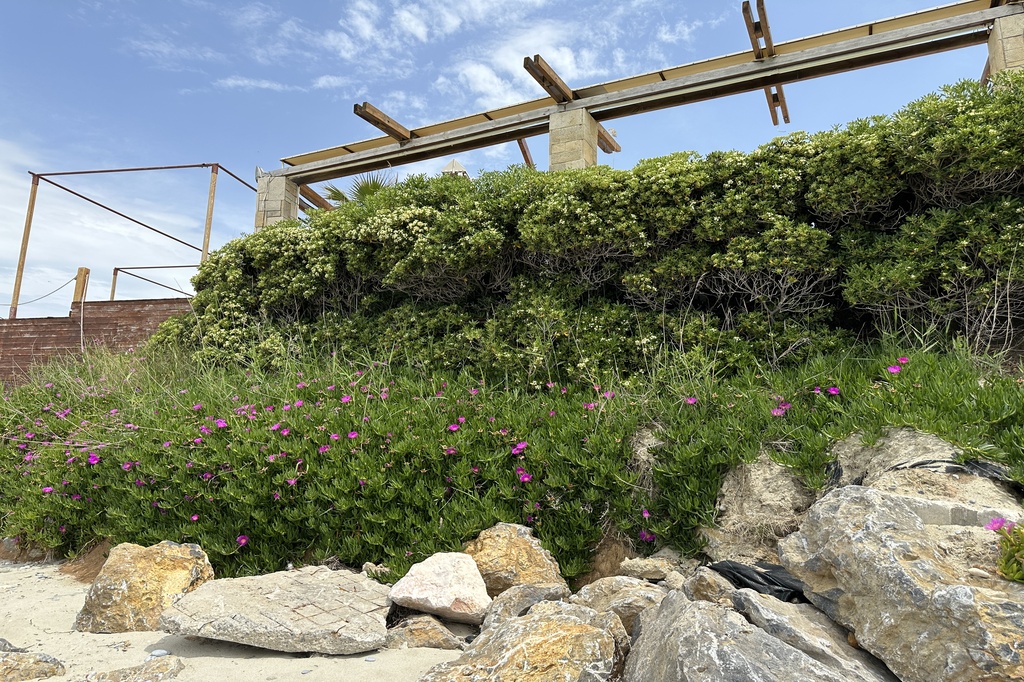 Villa4you.gr, Apartment Princesse 1, Fourka, Kassandra, Halkidiki, Greece, 01