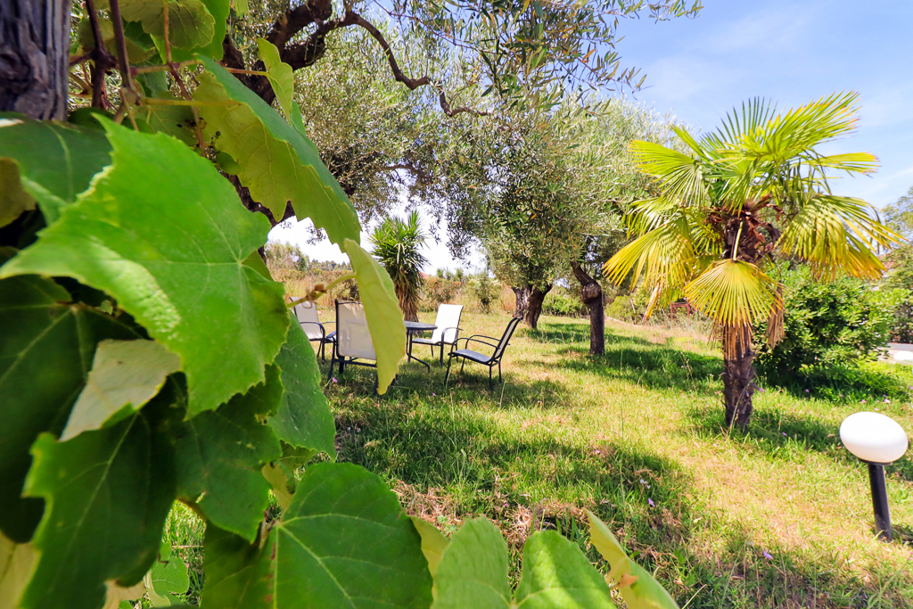 Kriopigi Apartment A, Kassandra, Halkidiki, Greece, 018