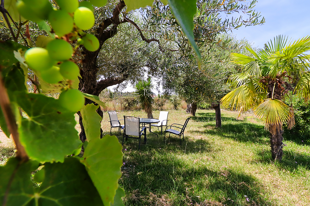Kriopigi Apartment A, Kassandra, Halkidiki, Greece, 019