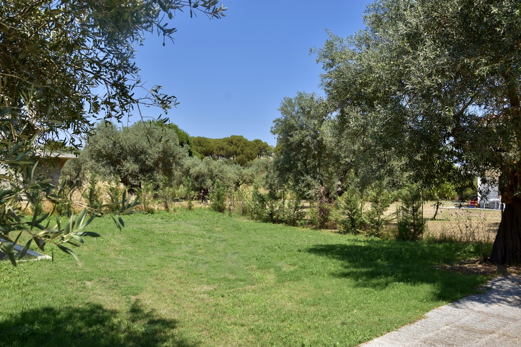 Karidi Harmony Apartment B, Vourvourou, Sithonia, Halkidiki, Greece, 10
